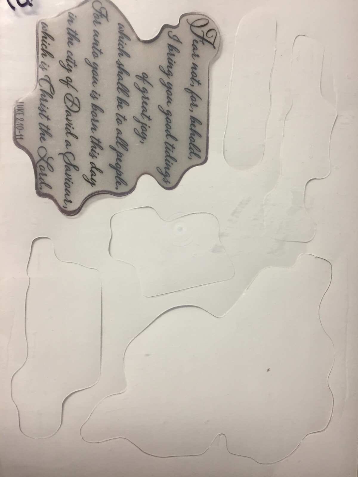 Picture 5 of 13