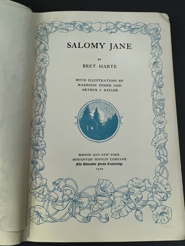 Salomy Jane Harte, Bret Illustrated 1910 Harrison Fisher Arthur Keller E7 - Picture 4 of 13