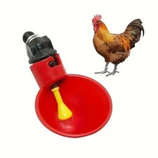 Abreuvoir Volaille Automatique