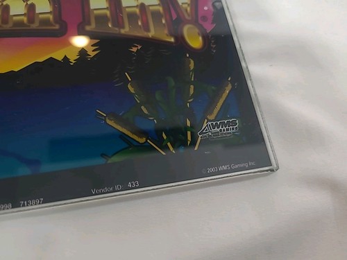 WMS Reel' Em In 2003 BB Bluebird Lower Glass Marquee Collectible Replacement - Picture 5 of 10