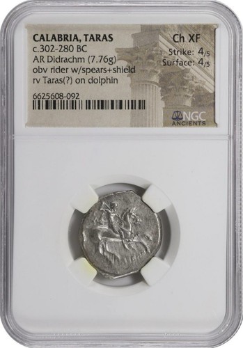NGC Ch XF CALABRIA Taras 302-280 BC, Greek AR Didrachm SILVER Dolphin Horse Coin - Picture 3 of 5