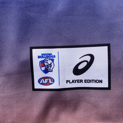 AFL Player Worn Training Guernsey Jersey Jumper Player Issue Rhylee West Bulldog - Picture 4 of 11