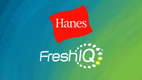 Paquete de 6 calcetines ligeros para hombre Hanes® "FreshIQ®~Transpirable~Talón antideslizante" - Vídeo 1 de 1