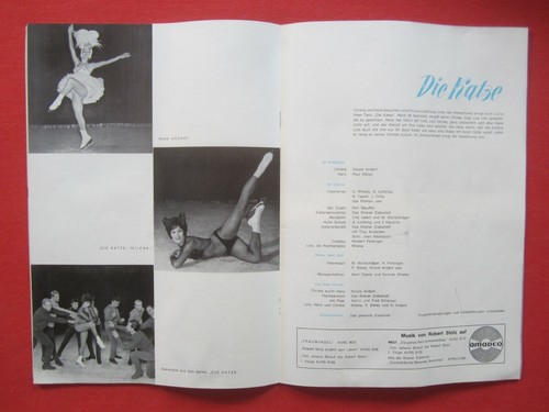 Orig. Werbung Programm Wiener Eis Revue Varieté Eislauf Akrobatik Tanz Wien 1963 - Bild 6 von 11