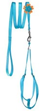 Step-In Nylon Harness Optional Flower Leash - G16-19"- Blue
