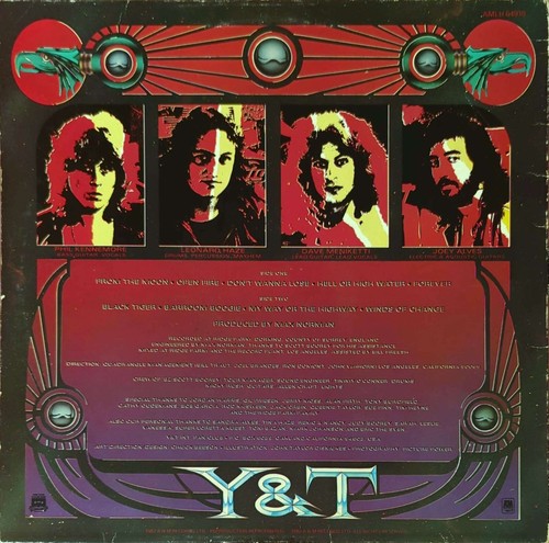 Y&T Black Tiger Vinyl LP 1982 Original UK Album A&M Records - AMLH 64910 - Picture 3 of 5