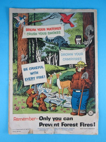 The True Story of Smokey the Bear Comic Book Lot (1960 + 1969) Printed in USA - Bild 12 von 24