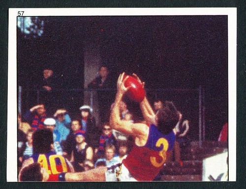 Fitzroy Football Club LION VFL Jumper 1976 -78 sponsor patch embroidered sew-on - Picture 14 of 15