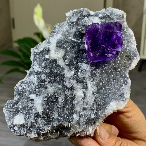 439G seltene transparente lila kubische Fluorit Mineral Kristall Probe / China - Bild 17 von 20