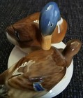 Bild 8 von 9