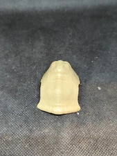 Transformers Beast Wars Rhinox Chest Piece