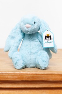 bashful aqua bunny