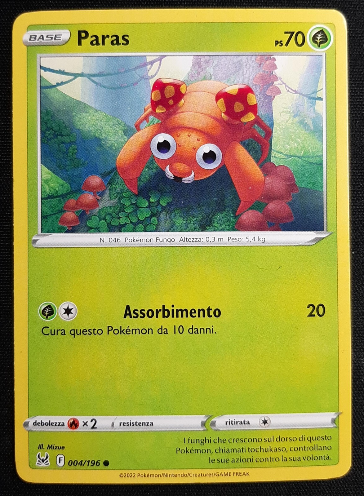 Foto 1 di 2