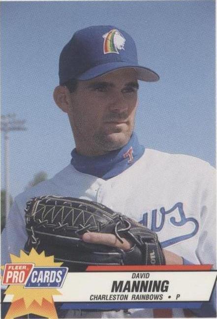 1993 Fleer ProCards Minor League - David Manning #1905 - 1 of 1