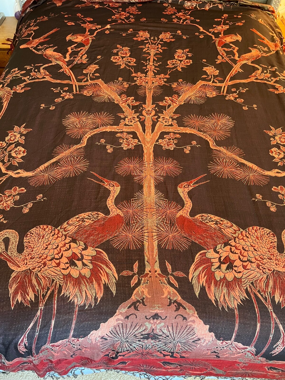 Picture 3 of 24