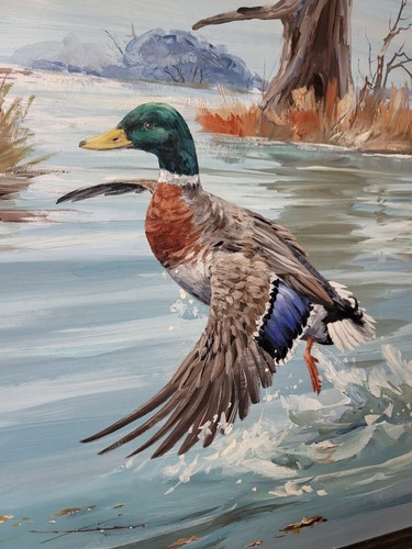 Texas Artist Clay McGaughy olio d'anatra originale su tavola 30"x22" - Foto 5 di 10