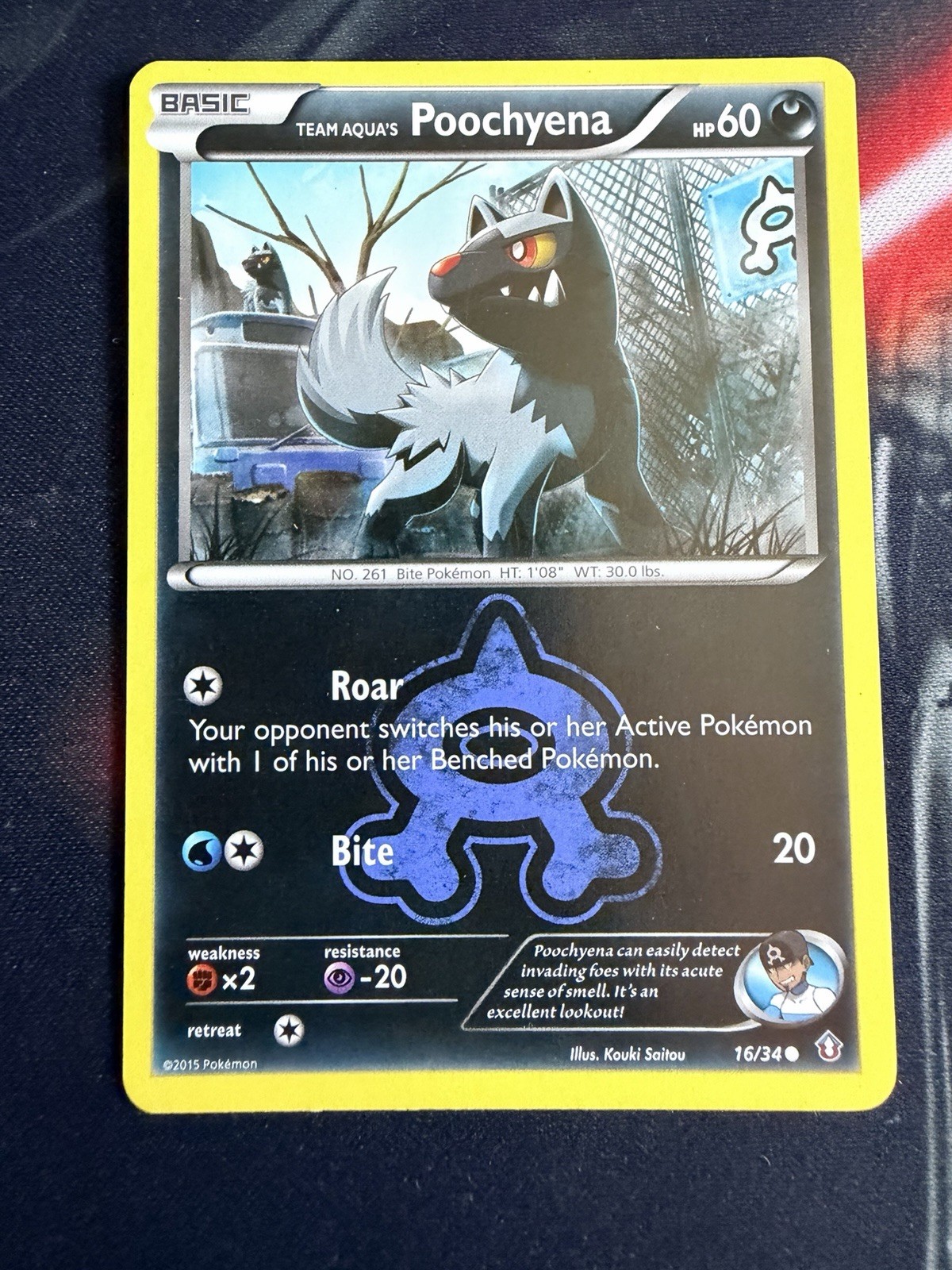 2015 Pokemon Team Aqua's Poochyena Common Double Crisis 16/34 LP