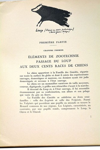 LIVRE ANCIEN VALIGIEN LE CHIEN ET SA MEDECINE ILLUSTRE 1951 - Imagen 3 de 6