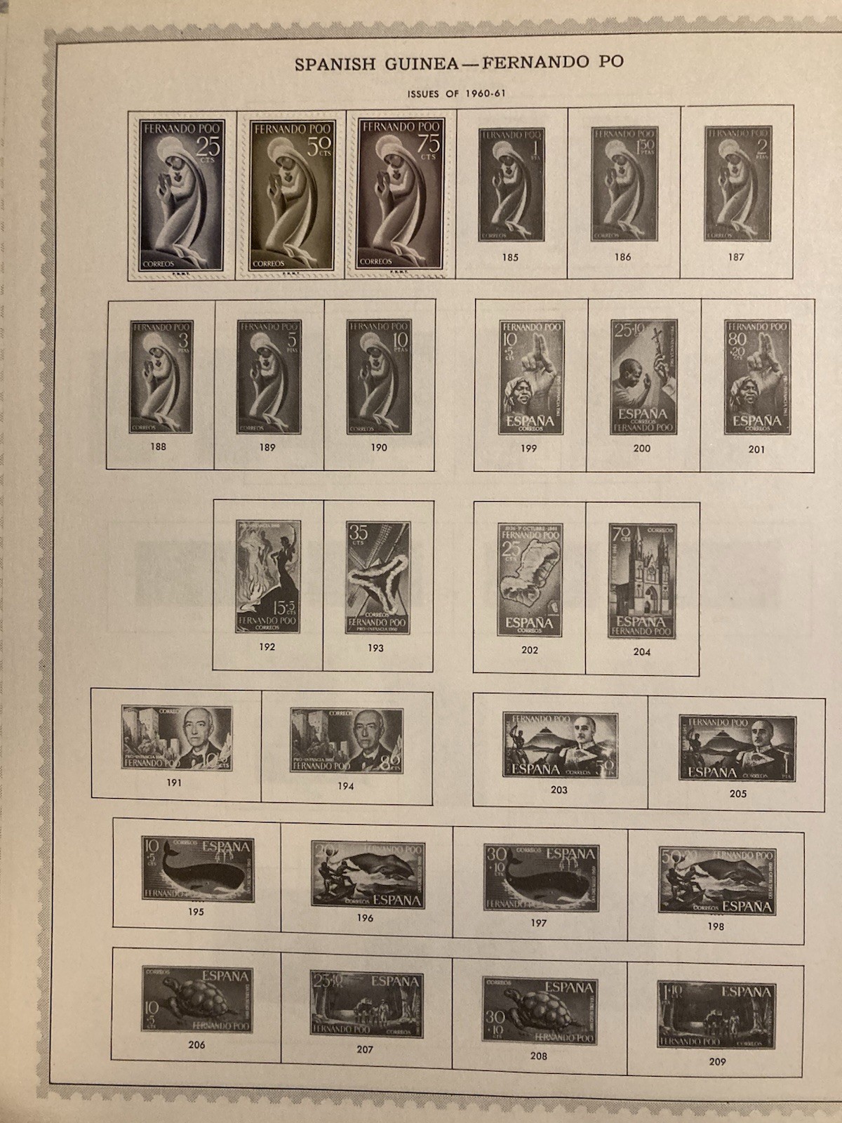 Foto 7 di 10