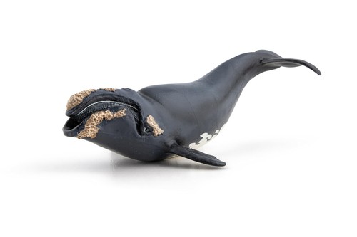 Papo Glatter Wal handbemalte Figur - Erbstück Qualität Sammlerstück Nr. 56057 - Bild 2 von 6