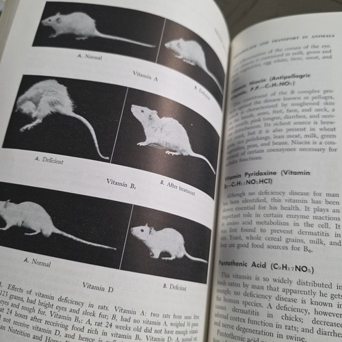 College Zoology 7th Edition by Robert W. Hegner Karl A. Styles 1961 Macmillan HC - Picture 14 of 24