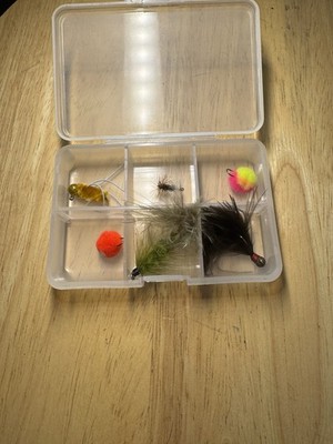 Assortment Of Flies In Box. Set Of 6 In Plastic Box. Assortment May Vary