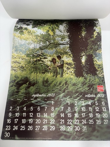 1973 + 1974 Coca Cola Coke Advertising Calendar Bird Vintage Original Rare - Picture 15 of 17