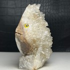 Picture 6 of 13