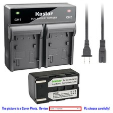 Kastar Battery Dual Rapid Charger for Samsung SB-LSM160  SC-D953 Camcorder