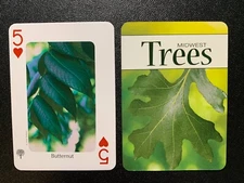 Swap Playing Card    MIDWEST TREES    Butternut    Stan Tekiela