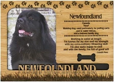 Newfoundland Engraved Wood Picture Frame Magnet