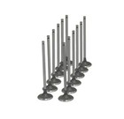 <!--F#f_0-->INLET & EXHAUST VALVE SET 12 FOR HOLDEN 132 138 GREY MOTOR FB FC FE FJ EJ EK<!--F/-->