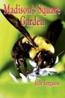Madison's Square Garden 9781434399496 by Judy Ferguson Hardback