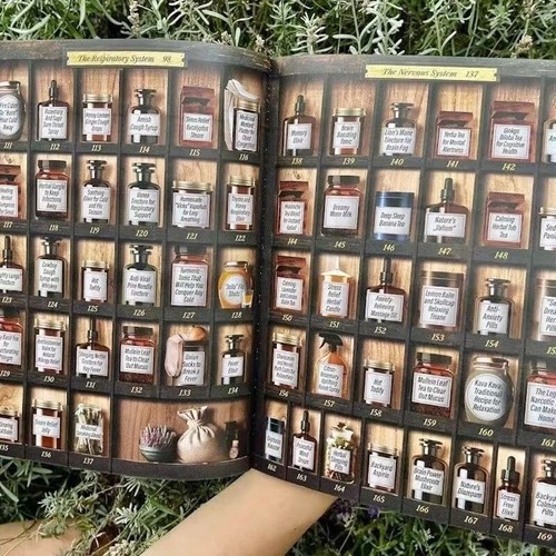 Forgotten Home Apothecary The Home Doctor Book English 250 Powerful Remedies A5 - Picture 3 of 8
