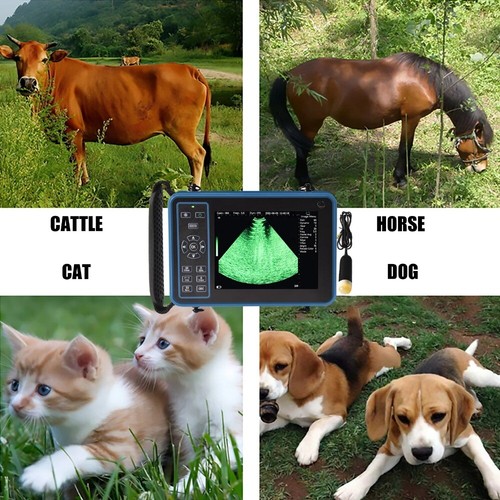 Escáner veterinario de ultrasonido portátil para animales para vacas equinas camellos cabras perro - Imagen 5 de 24