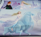 Disney Frozen Set of 2 Royalty Theme Pillowcases Pillow Case Horseback Elsa Anna