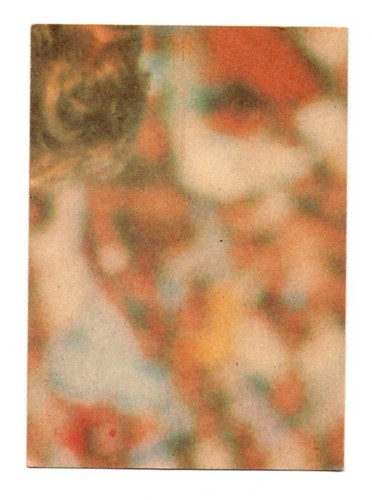 1976 Nrl Rugby League Scanlens (30) Dennis FITZGERALD Eels - Bild 2 von 2