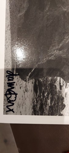 BLUR...! SIGNED-DAMON ALBARN-LP-NEARER THE FOUNTAIN, MORE PURE THE STREAM FLOWS. - Picture 2 of 2