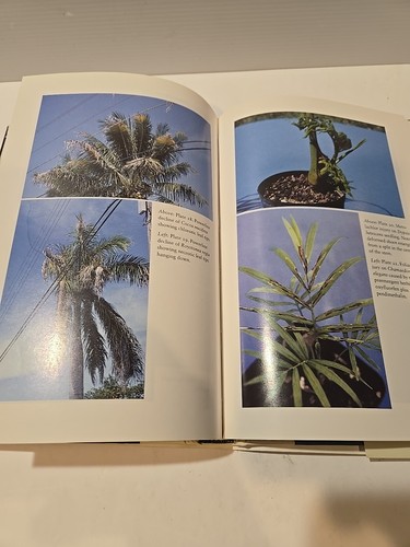 Ornamental Palm Horticulture - Broschat & Meerow - Imagen 9 de 11