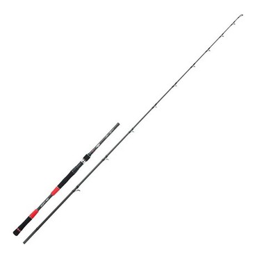 Hearty Rise Fire Master Meter Over Casting 2,39m 70-150g Hechtrute Baitcastrute