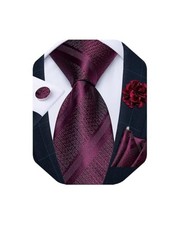 Mens Tie and Lapel Pin Set Silk Plaid Solid Paisley Necktie  13 Burgundy
