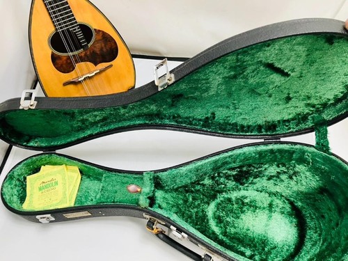 SUZUKI M-30 mandolin with hard case - Picture 9 of 10
