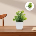 4pcs realistische gefälschte Bonsai Künstliche Pflanzen Innendekoration