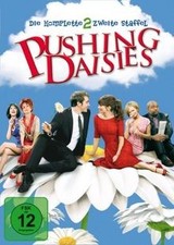 Pushing Daisies - Die komplette zweite Staffel (4 DV... | DVD | Zustand sehr gut