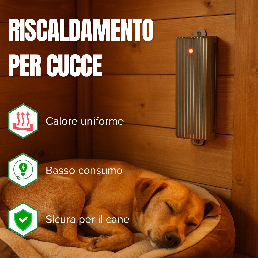 Foto 2 di 8