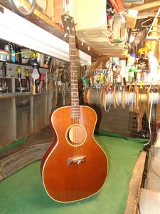 tenor guitar case