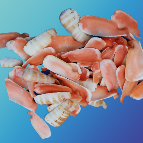 LUHUANUS SEASHELLS, Strawberry Lip Cut Shells, Baech Art Supply, CS-24 - Picture 6 of 11