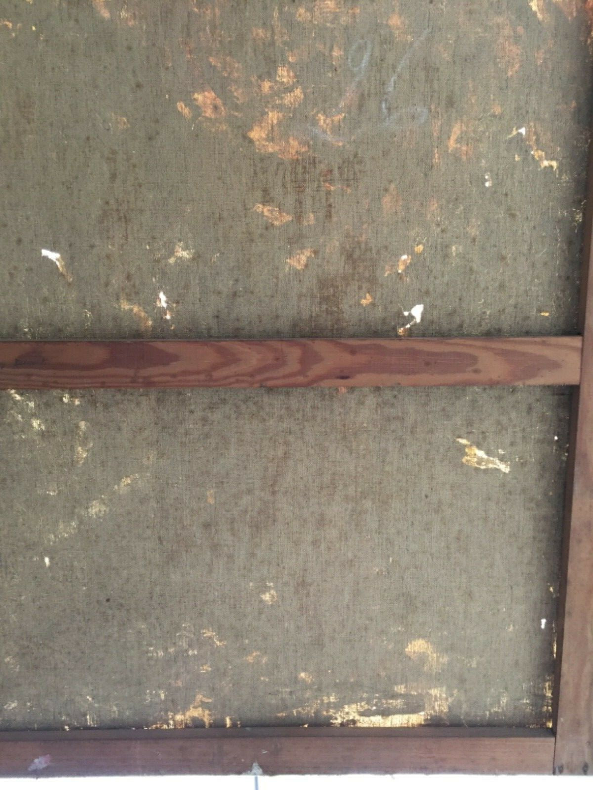 Picture 4 of 12