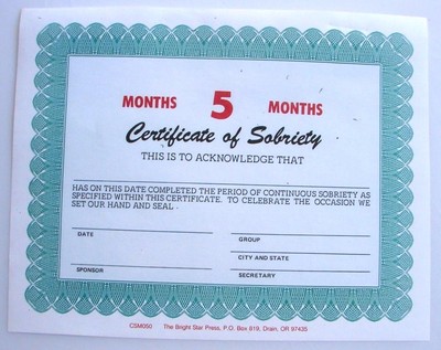 Alcoholics Anonymous AA Certificate of Sobriety 5 Month Award Medallion