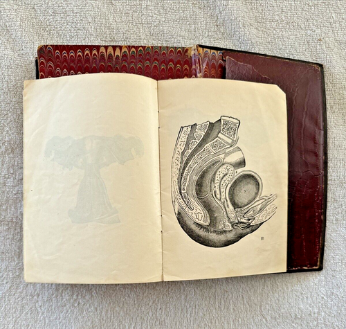 Tokology, A Book For Every Woman Alice Bunker Stockham 1895 Revised Edition - Imagen 4 de 21